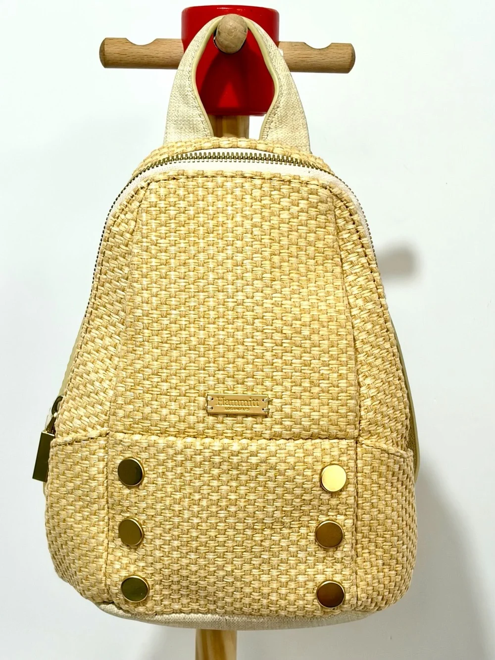Hammitt Hunter 2 Small Backpack In Ricotta Raffia With Brushes Gold Hardware